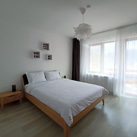 Zander Home Apartment Buşteni Exterior foto